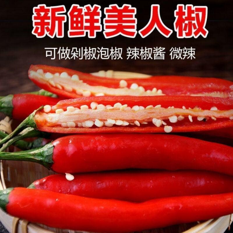 新鲜美人椒大红辣椒，量大从优长期供货西双版纳发货