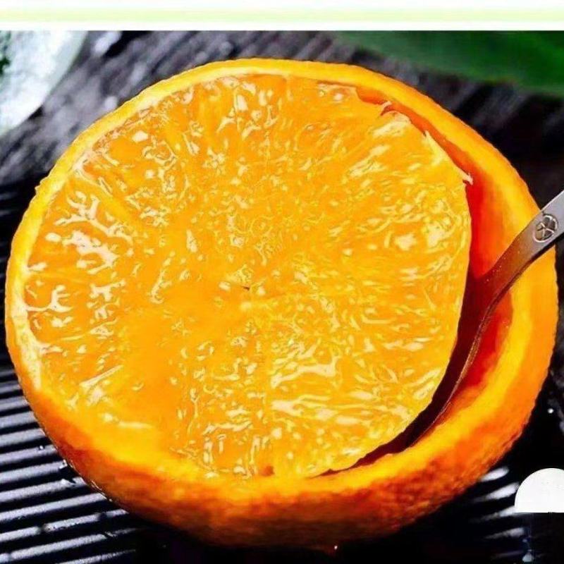 九月红果冻橙.海拔底口感纯甜，70以上大果，支持视频看货
