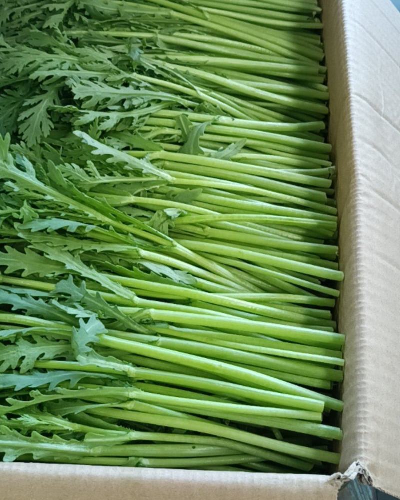 茼蒿