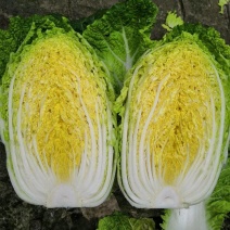 【白菜】黄心白菜，产地出售中，量大从优，欢迎选购