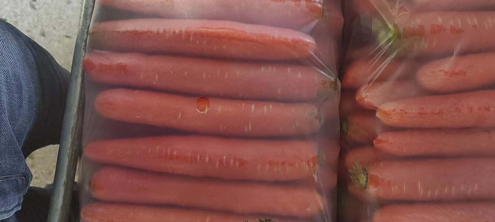 胡阳西红柿品牌包装与绿色食品认证证书展示 胡阳西红柿品牌包装与认证证书展示