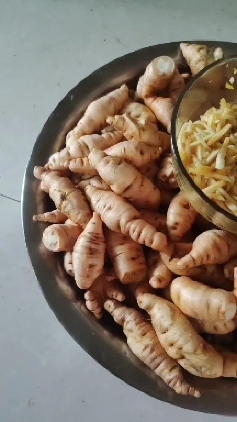 长年供应干地黄，鲜地黄，保证质量和含量，价格优惠合作共赢