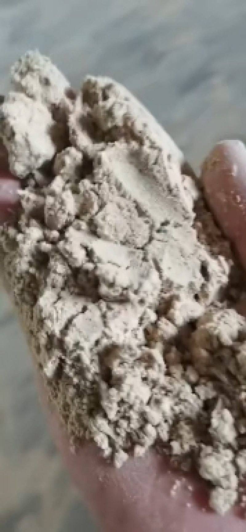 谷子粉，稻谷面，蛋白8，纤维8，灰分6，淀粉49，