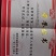 金钱松土荆皮树易管理投资小利润高国家二级保护树种欢迎下单