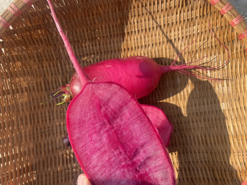 梨子萝卜水的制作过程