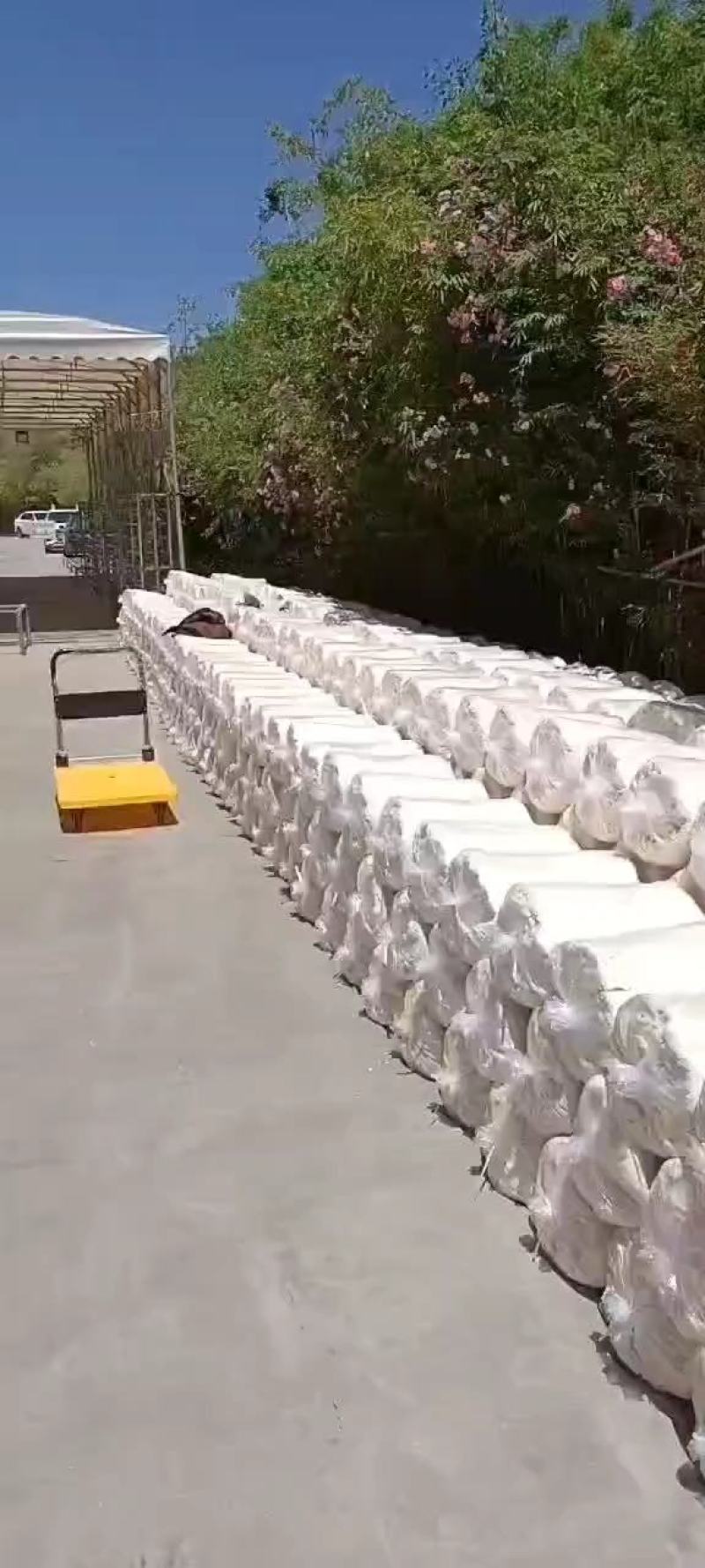 厂家直发，每日新鲜脱水豆腐渣，经济实惠，养殖行业好帮手！