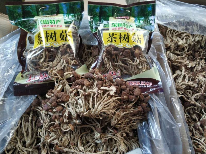 精品5号茶树菇黑帽短腿9省包邮费加15元一件