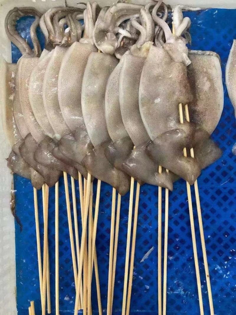 各种规格鱿鱼板串，鱿鱼须，手把串，龙珠凤舞