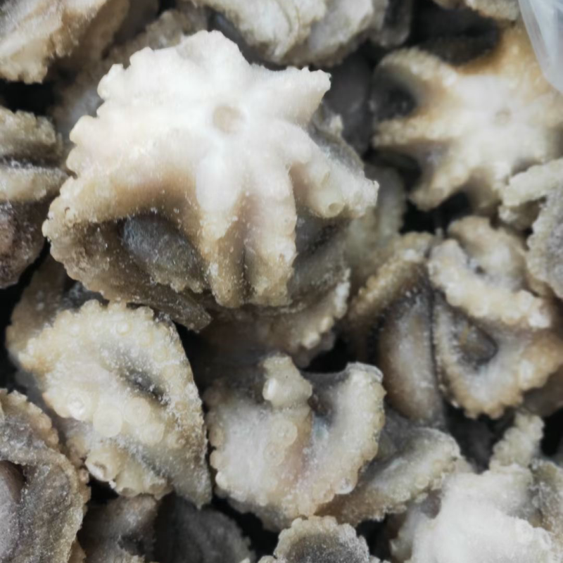 三去盐柔八爪鱼短腿八爪鱼速冻章鱼质量保证