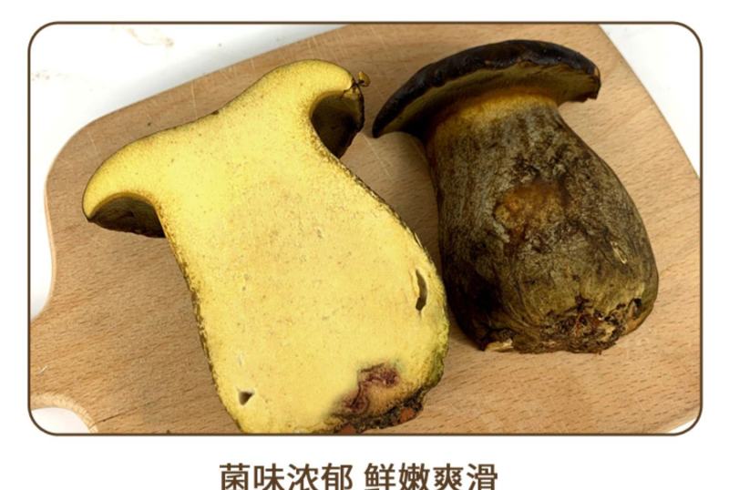 新鲜黑牛肝菌食用菌云南特产牛肝菌炒菜煲汤火锅食材