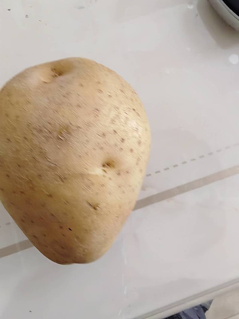 北京种子公司，品种多，品质好，土豆种子，需要的交流一下，