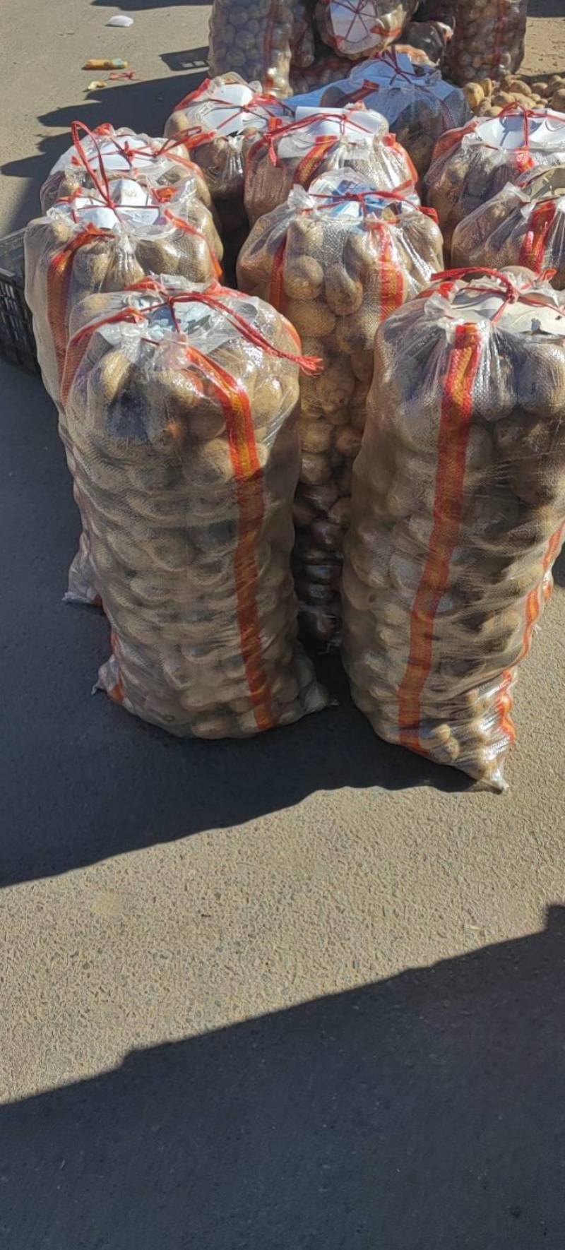 北京种子公司，品种多，品质好，土豆种子，需要的交流一下，