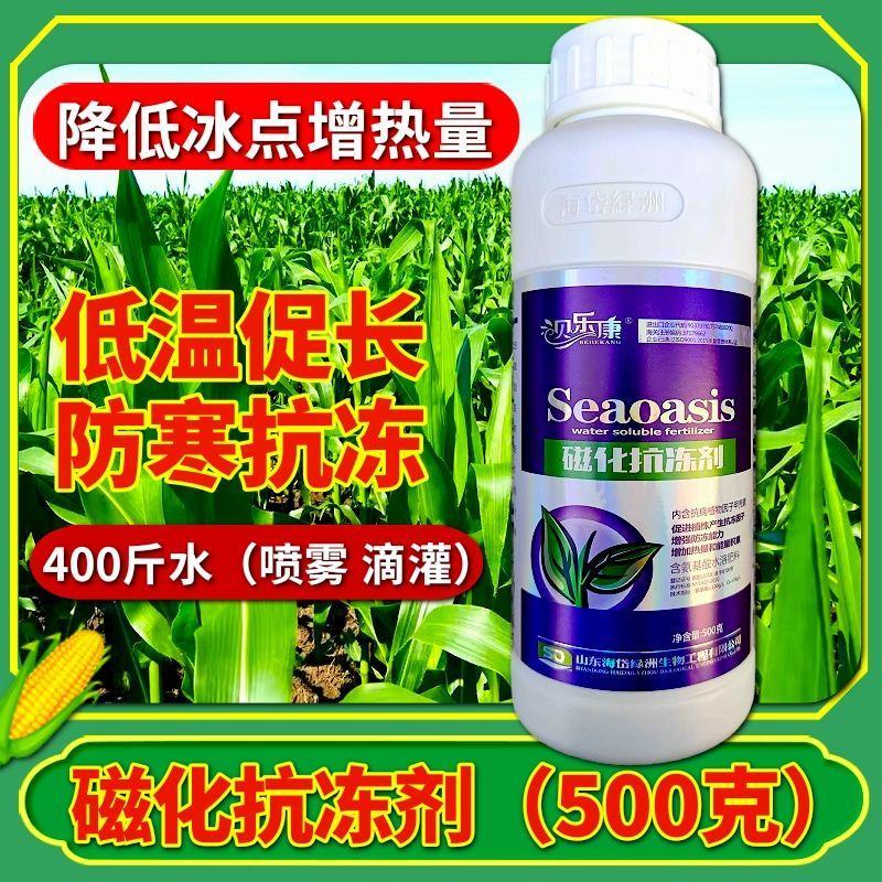 磁化抗冻剂防冻剂防寒缓解冻害增加热量能量500克氨基酸肥