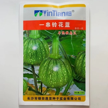 圆宝西葫芦种子油绿矮生西葫芦杂交种子南瓜种子四季早熟