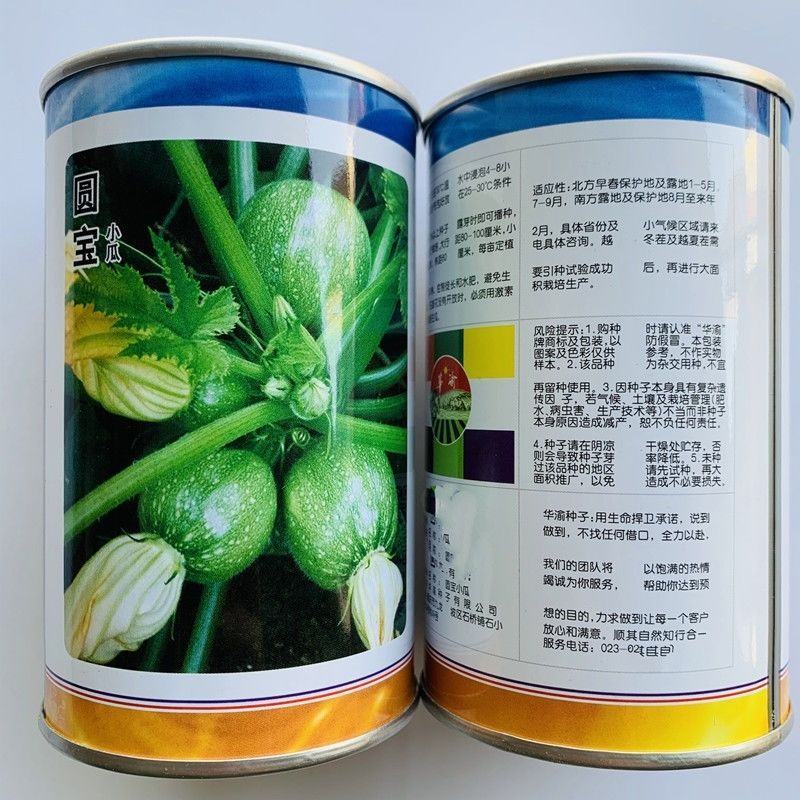 圆宝西葫芦种子油绿矮生西葫芦杂交种子南瓜种子四季早熟