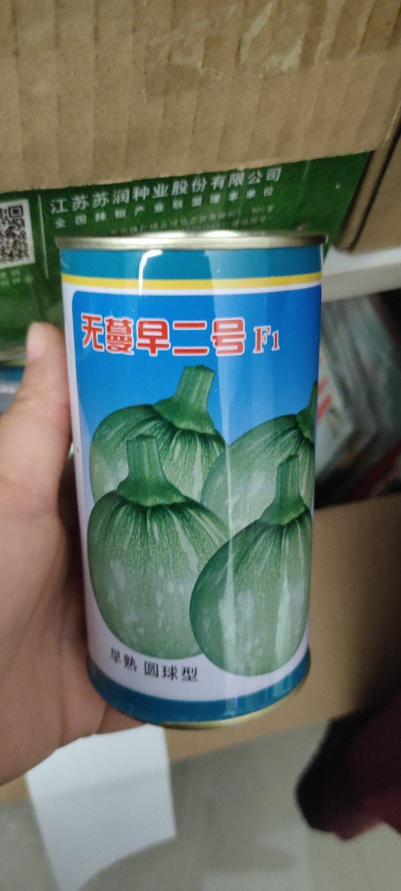 圆宝西葫芦种子油绿矮生西葫芦杂交种子南瓜种子四季早熟
