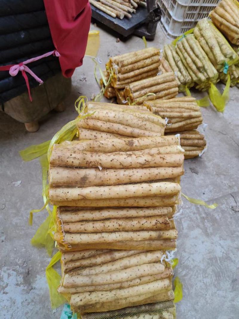 精品麻山药产地直供提供一条龙服务欢迎来电咨询