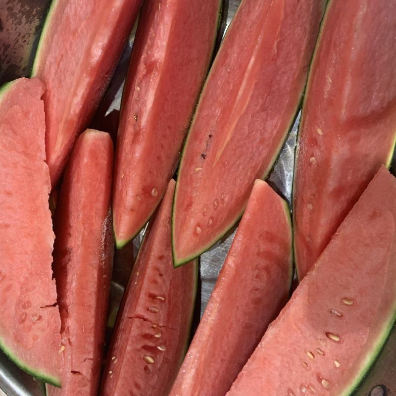 黑皮无籽花无籽西瓜山东无籽西瓜大量有货货源充足