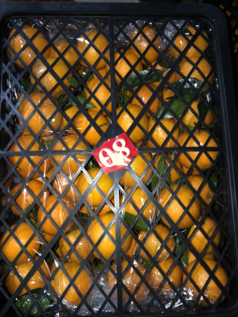 大量密香橙上市中，口感甜，个头大，颜色红，皮张光滑