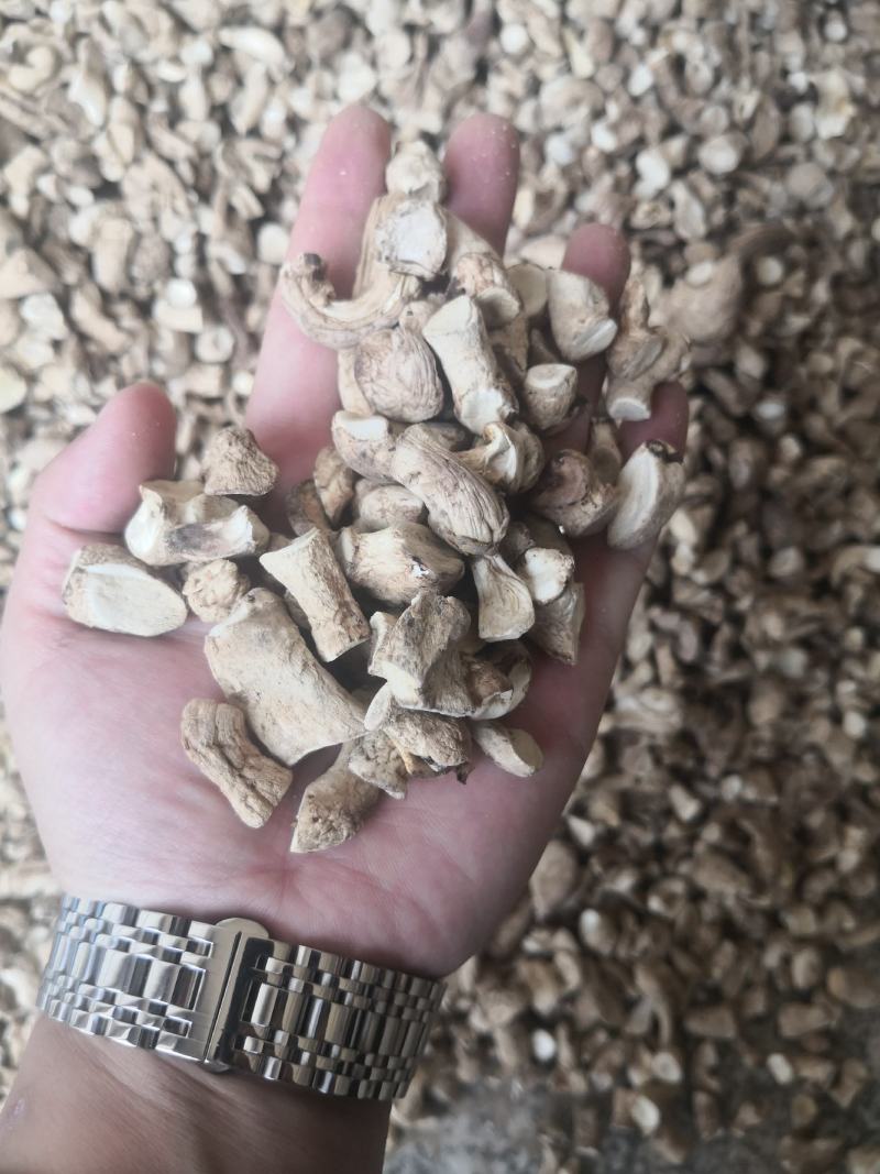 干香菇香菇腿香菇脚优质统货干净无杂质常年供应