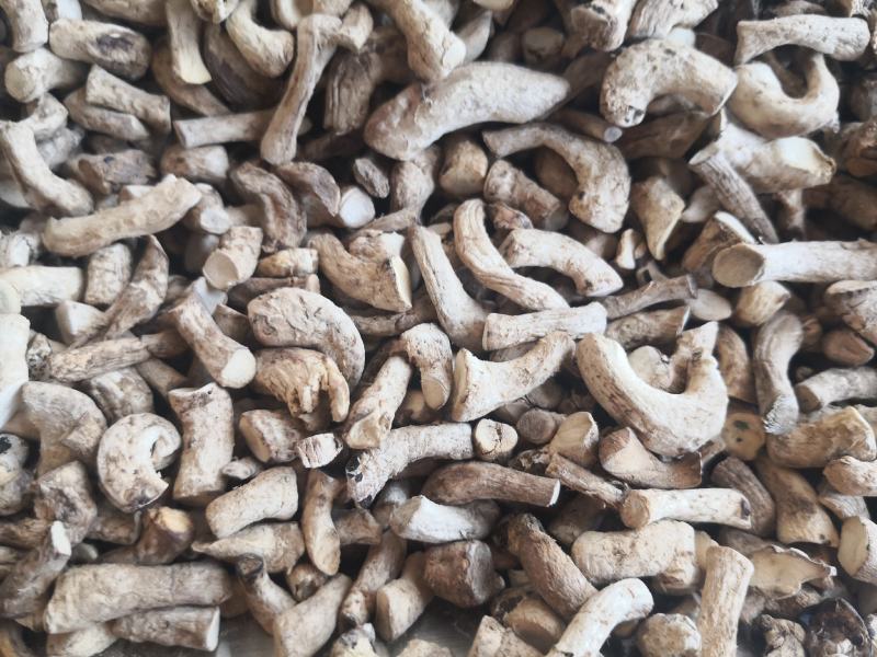 干香菇香菇腿香菇脚优质统货干净无杂质常年供应