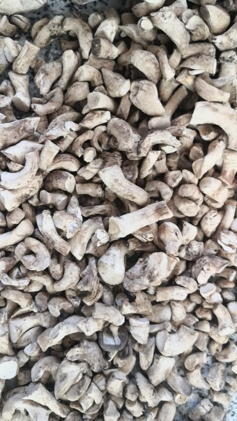 干香菇香菇腿香菇脚优质统货干净无杂质常年供应