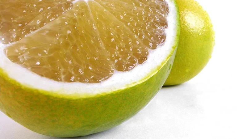 浙江示范级柑橘基地进口品种葡萄柚青柚有机肥种植绿色认证
