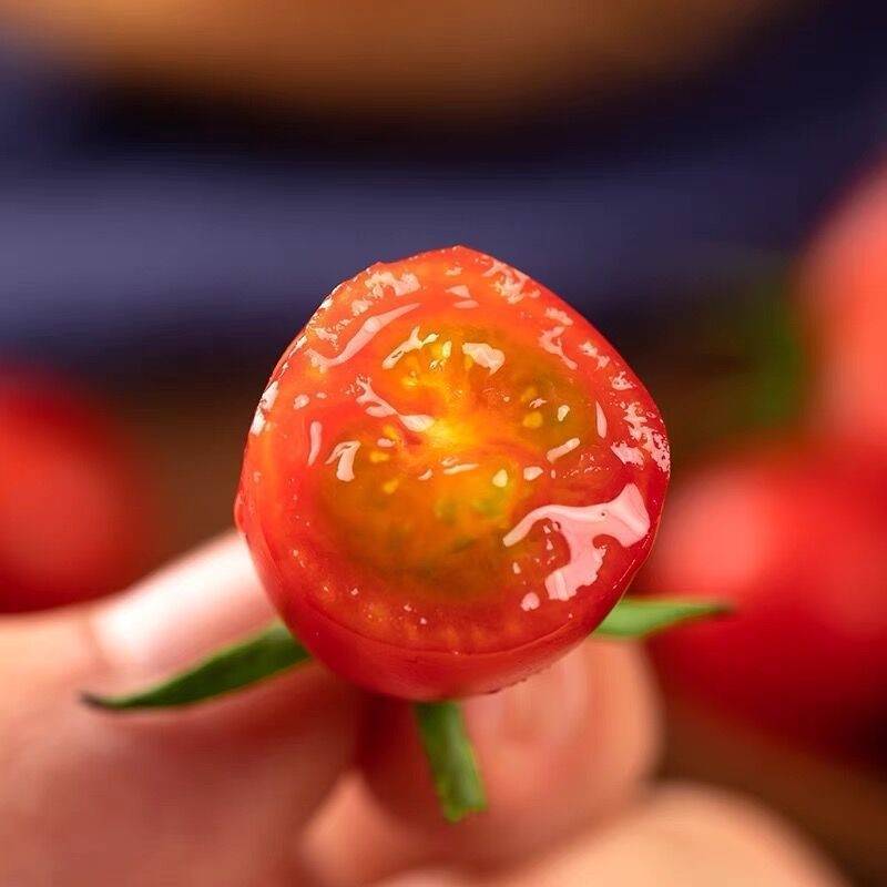 中蔬番茄酱汁樱桃番茄种子酸甜多汁圣女果小番茄盆栽西红柿
