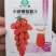 中蔬番茄酱汁樱桃番茄种子酸甜多汁圣女果小番茄盆栽西红柿