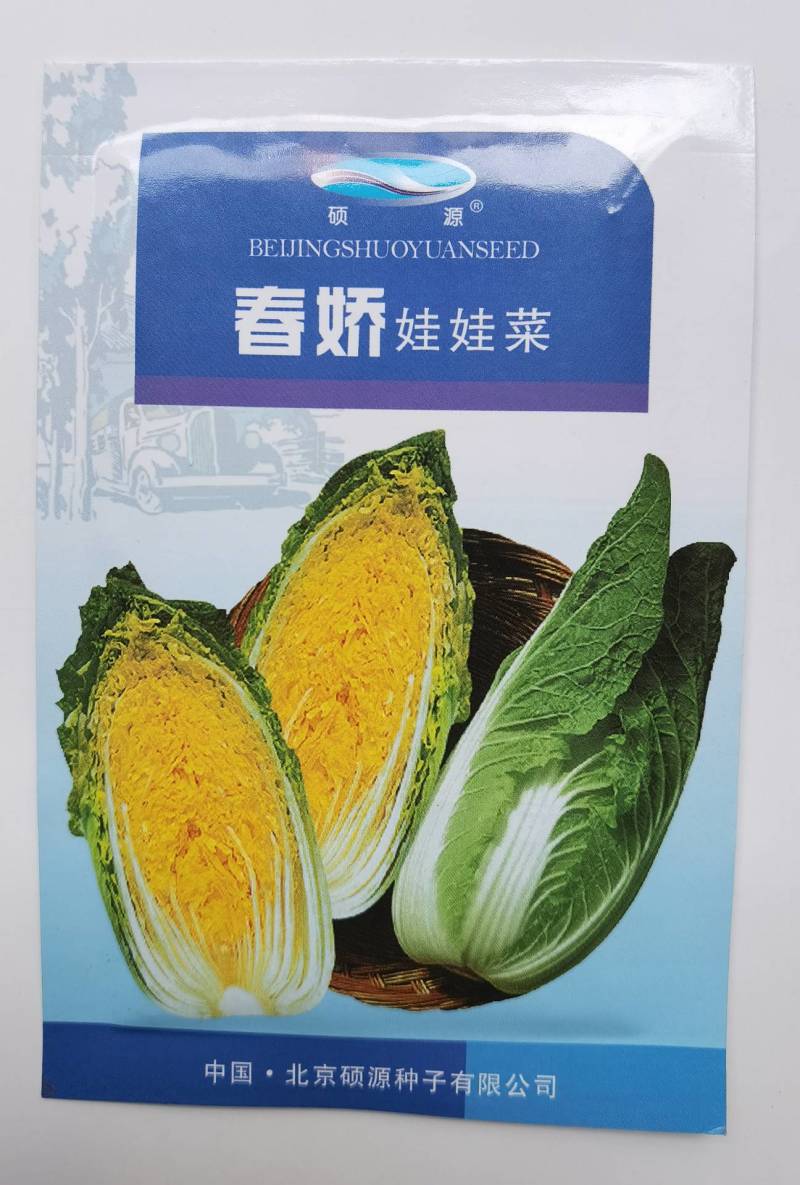 春娇娃娃菜种子耐寒耐抽苔黄心进口春播高品质白菜