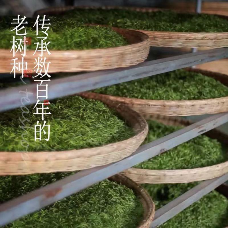 经典炭火毛峰450一斤【四季价格一样】【当年新茶】