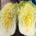 黄心大白菜，颗大，心实，无虫眼，无烧心！