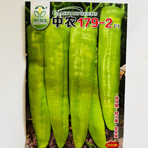 中农179～2牛角椒种子品种黄绿皮无线生长品种子
