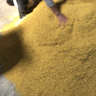 桂花干
