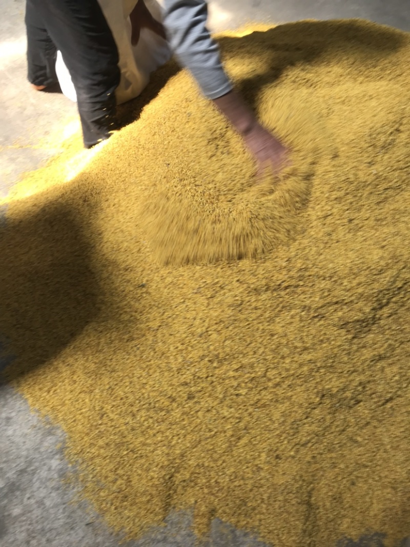 桂花干