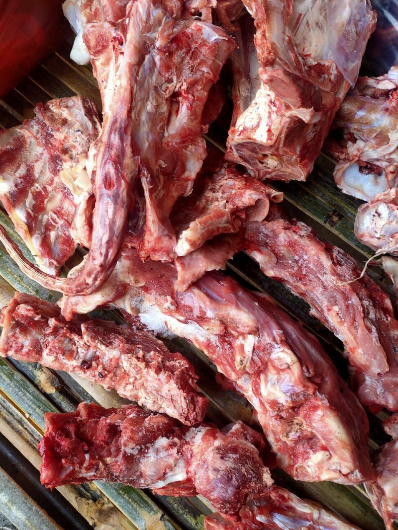 多肉牛脊骨