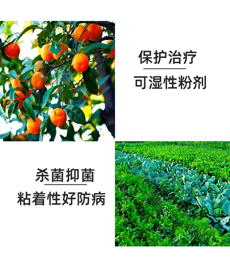 75%百菌清真菌杀菌剂霜霉病农药蓝粉好原料