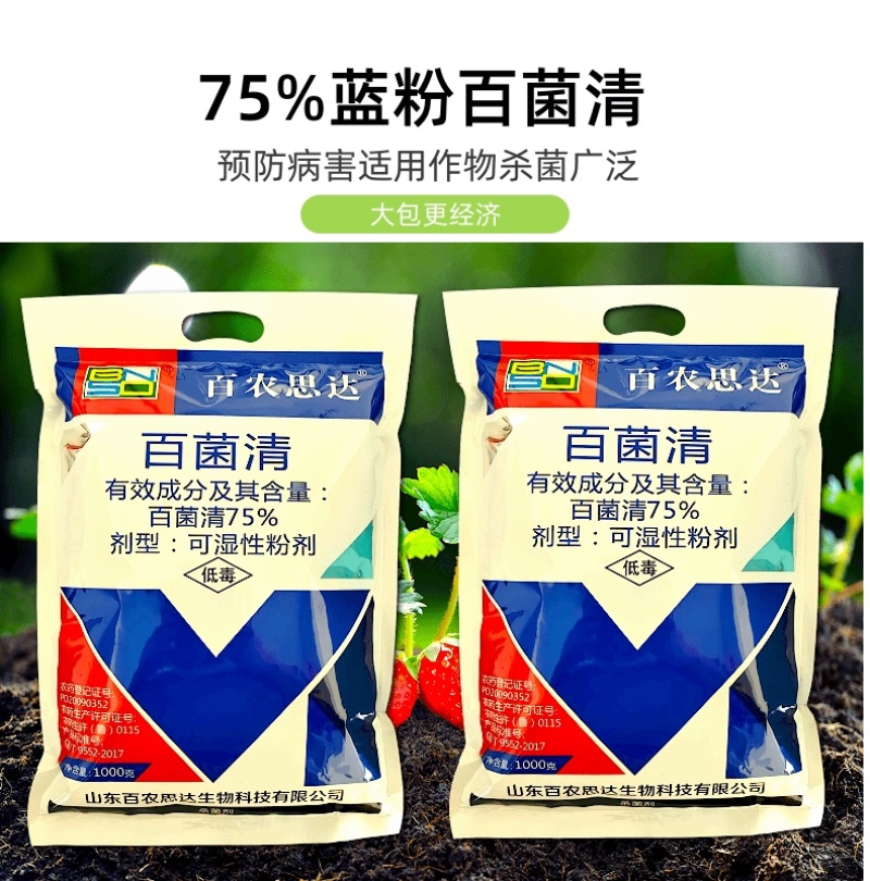 75%百菌清真菌杀菌剂霜霉病农药蓝粉好原料