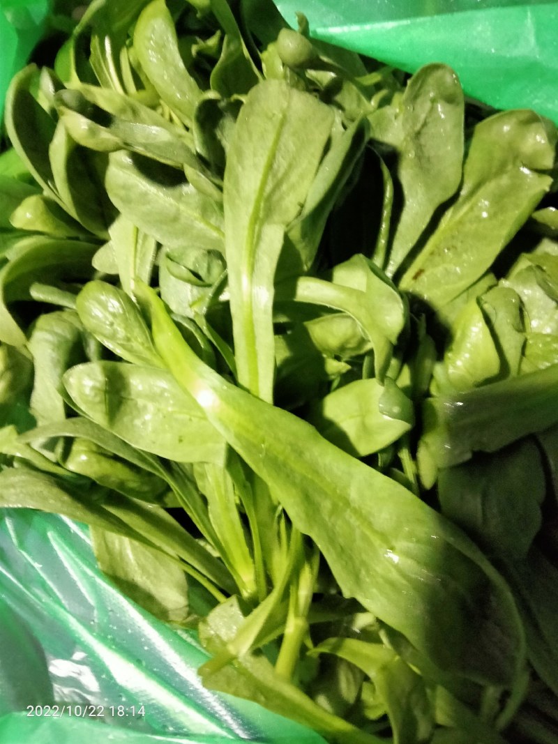 茼蒿菜