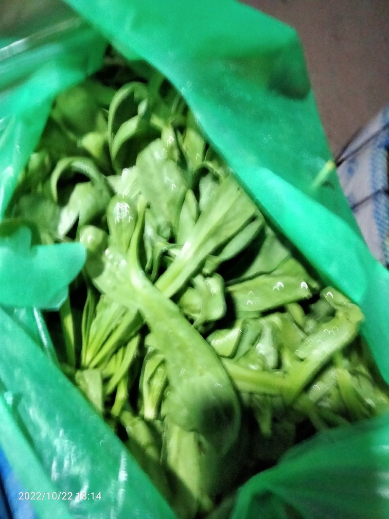 茼蒿菜