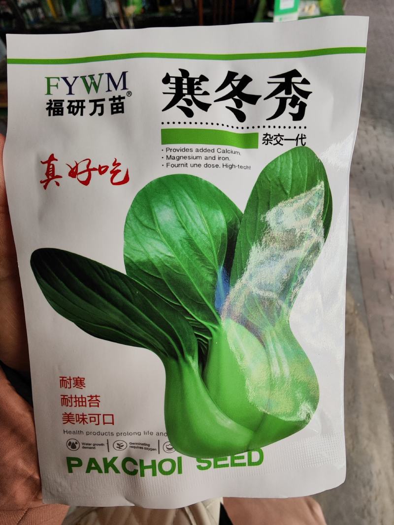 寒冬秀青梗菜种子，20克，耐抽苔耐寒整齐美观