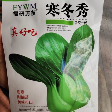 寒冬秀青梗菜种子，20克，耐抽苔耐寒整齐美观