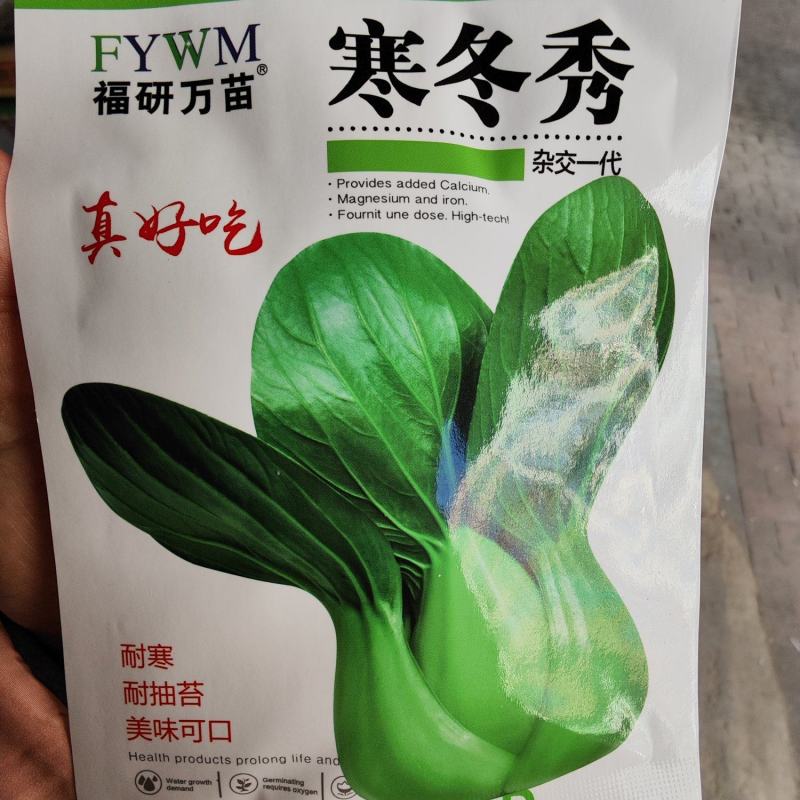 寒冬秀青梗菜种子，20克，耐抽苔耐寒整齐美观