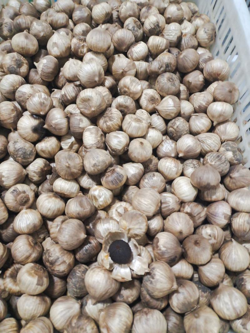 金乡独头黑蒜发酵黑蒜批发价格工厂直发