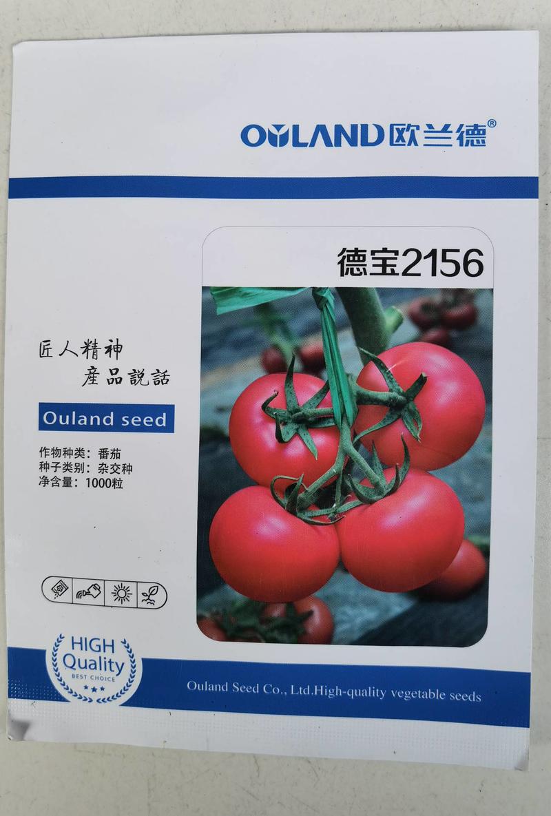 欧兰德德宝2156番茄种子抗TY病毒叶霉病粉红西红柿