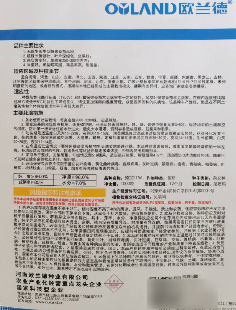 欧兰德德宝2156番茄种子抗TY病毒叶霉病粉红西红柿