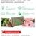 【一件代发】云南大花月季裸根小苗庭院阳台花卉种苗四季开花