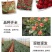 【一件代发】云南大花月季裸根小苗庭院阳台花卉种苗四季开花
