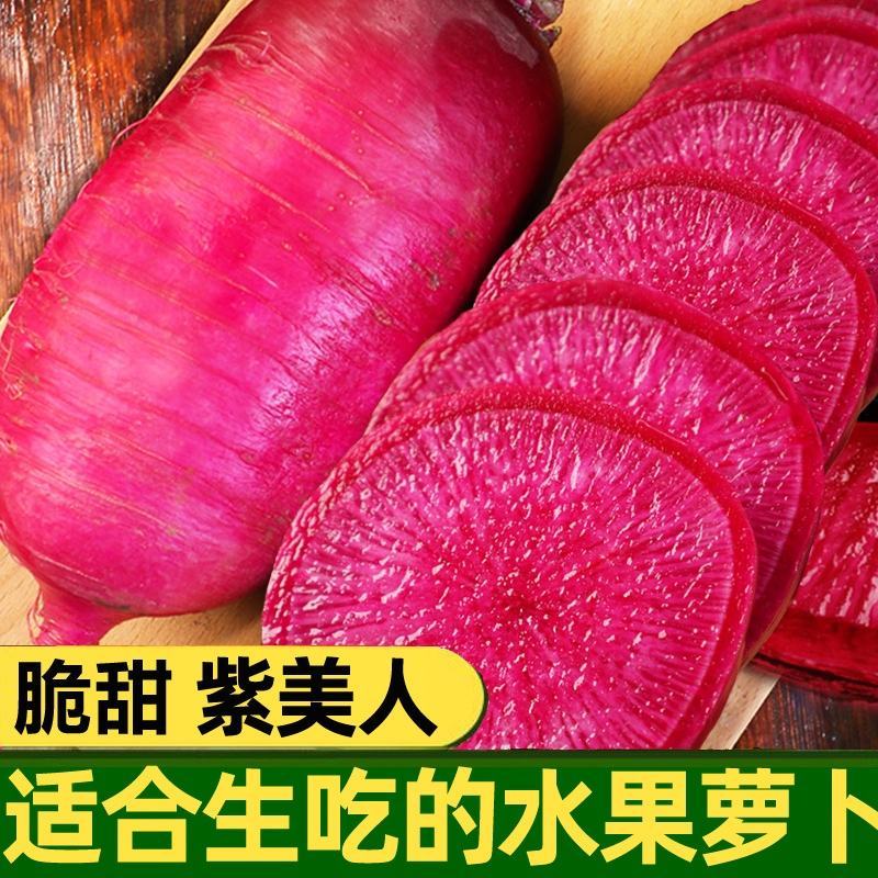红皮萝卜红萝卜产地看货论价专业代办，欢迎订购