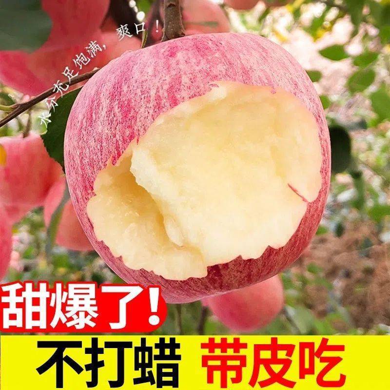 红富士陕西红富士苹果产地一手货源规格齐全